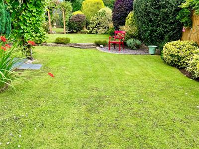 Picture 10